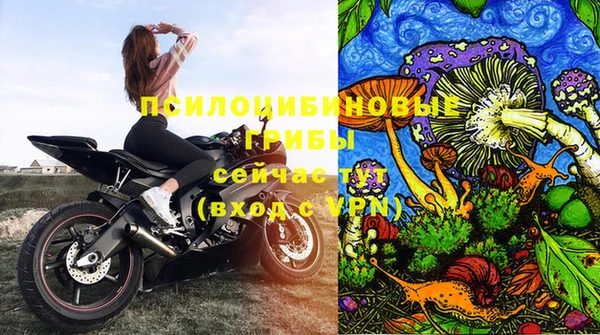 ECSTASY Струнино
