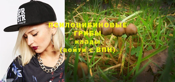 МДПВ Ступино