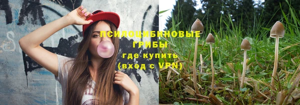spice Строитель